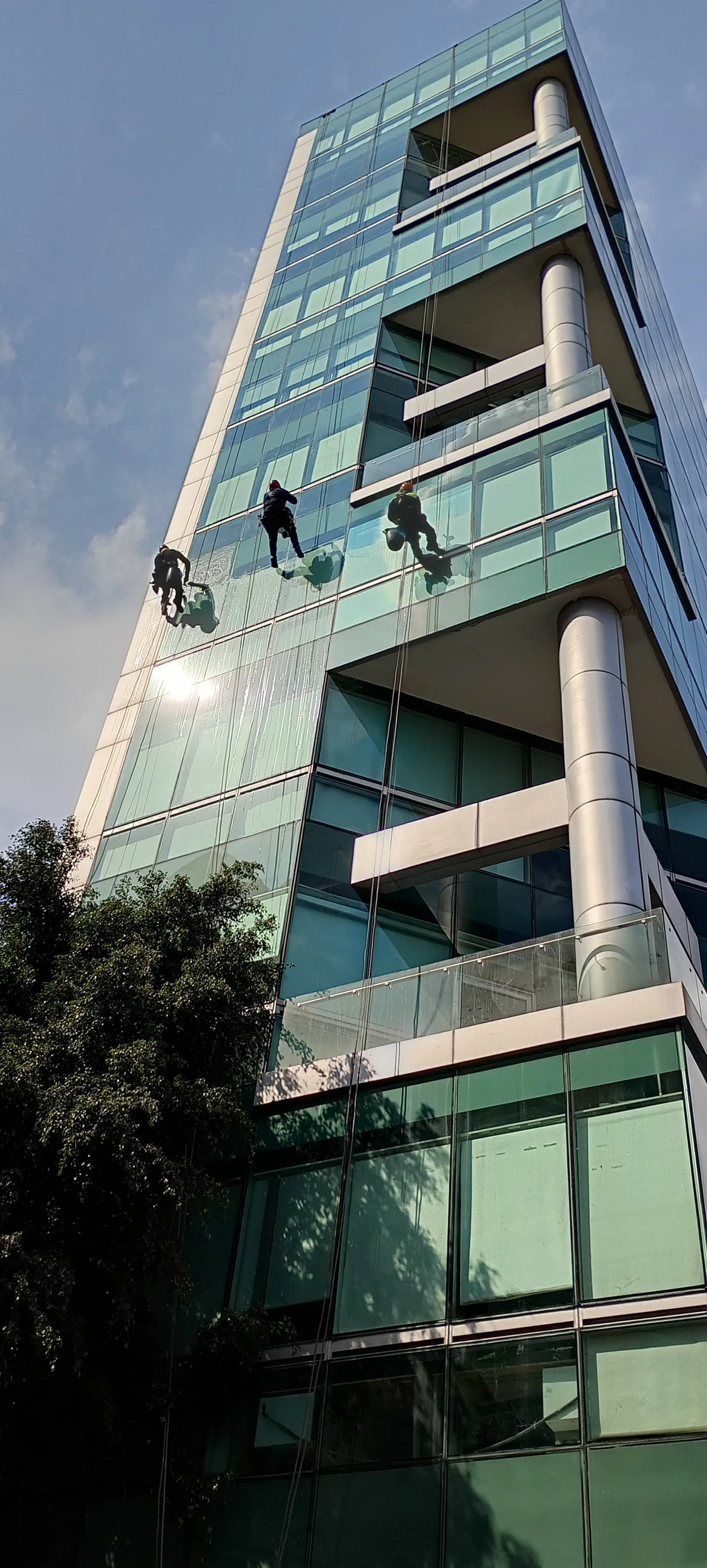 Personal realizando trabajos de limpieza en altura