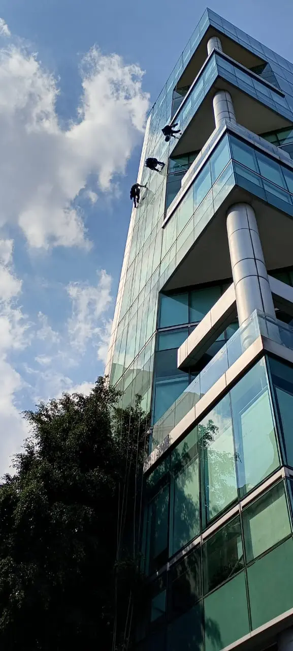Personal realizando trabajos de limpieza en altura