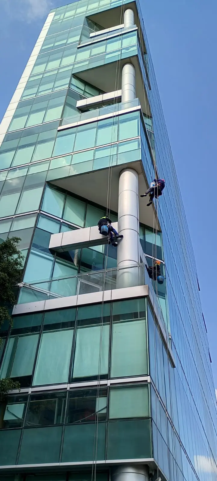 Personal realizando trabajos de limpieza en altura